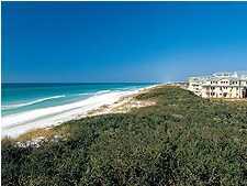 150 Royal Fern Way Santa Rosa Beach, FL 32459 - Photo 3 of 4 a view of a large building with an ocean view