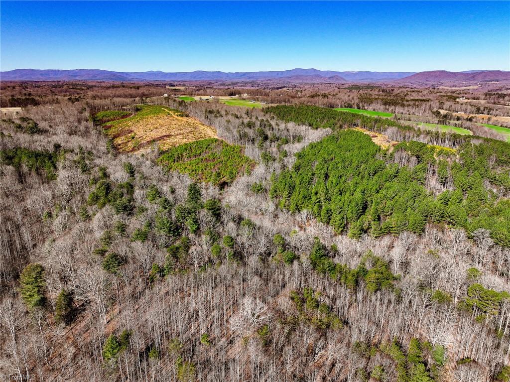 Tbd Tobe Hudson Road Dobson, NC 27017 - Photo 1 of 15 Gallery Image 1