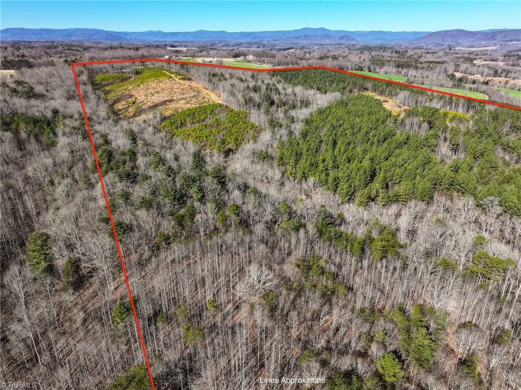 Tbd Tobe Hudson Road Dobson, NC 27017 - Photo 11 of 15 Gallery Image 11