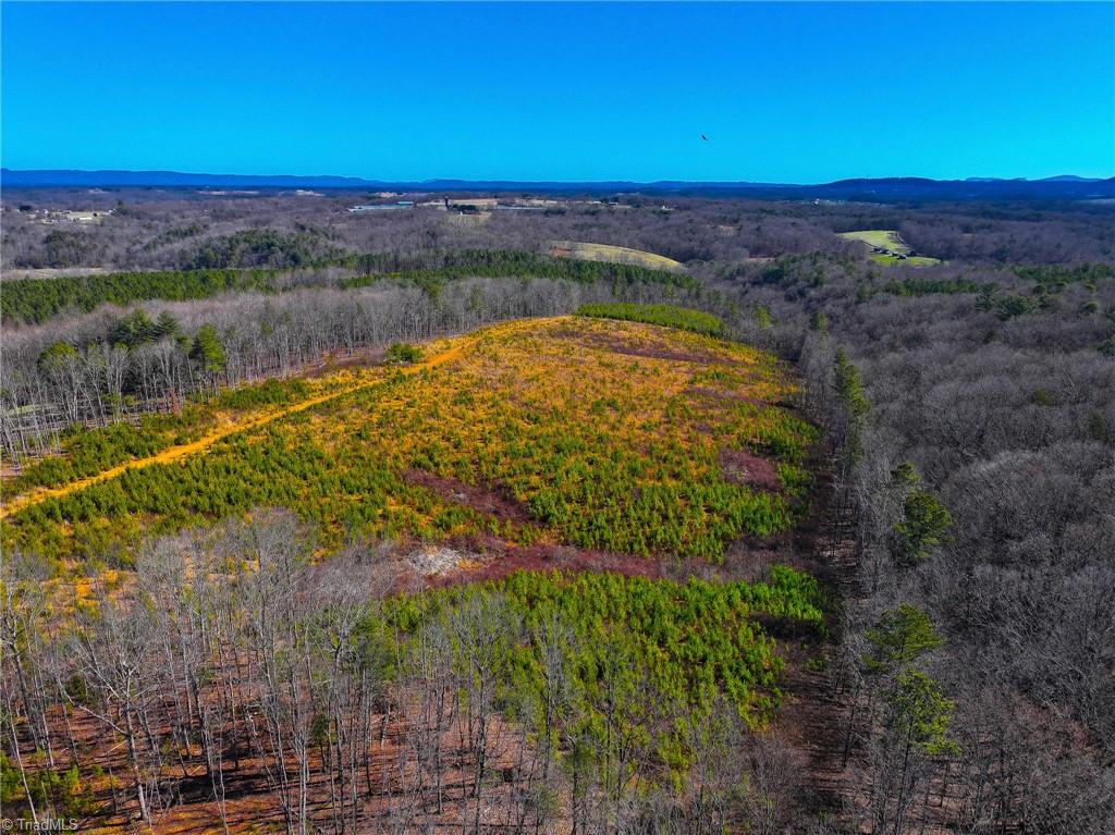 Tbd Tobe Hudson Road Dobson, NC 27017 - Photo 12 of 15 Gallery Image 12