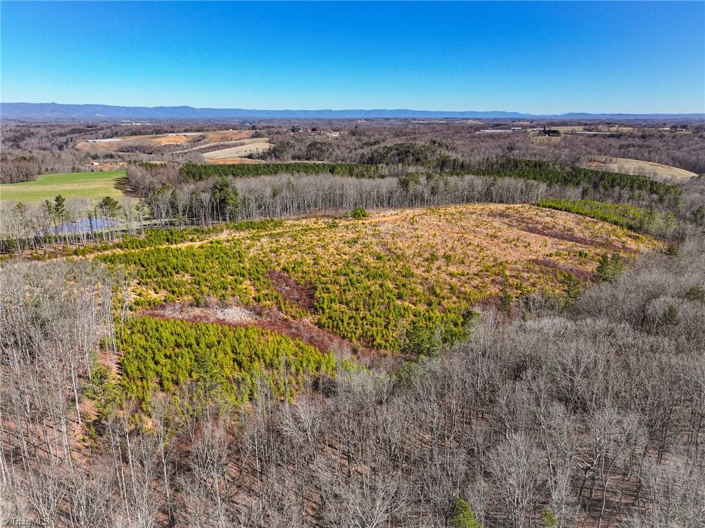 Tbd Tobe Hudson Road Dobson, NC 27017 - Photo 13 of 15 Gallery Image 13