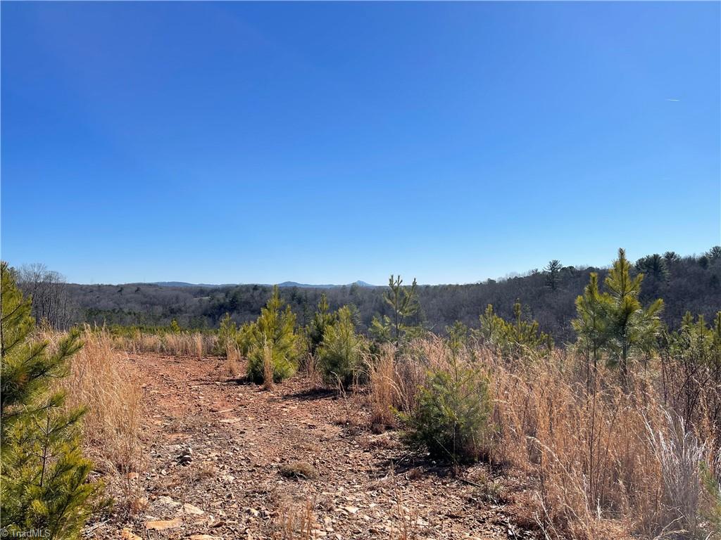 Tbd Tobe Hudson Road Dobson, NC 27017 - Photo 15 of 15 Views of Pilot Mountain in the Distance