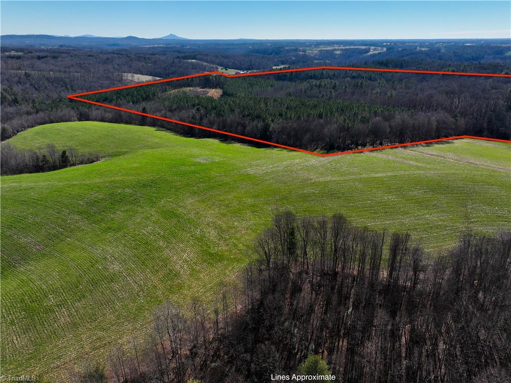 Tbd Tobe Hudson Road Dobson, NC 27017 - Photo 4 of 15 Gallery Image 4