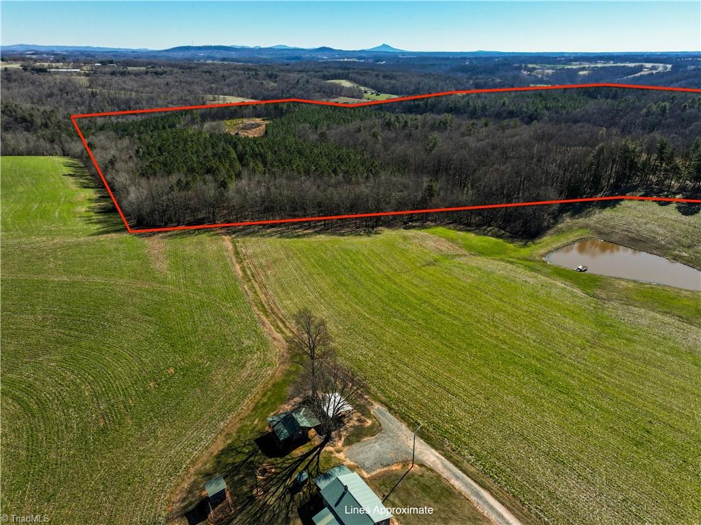 Tbd Tobe Hudson Road Dobson, NC 27017 - Photo 6 of 15 Gallery Image 6
