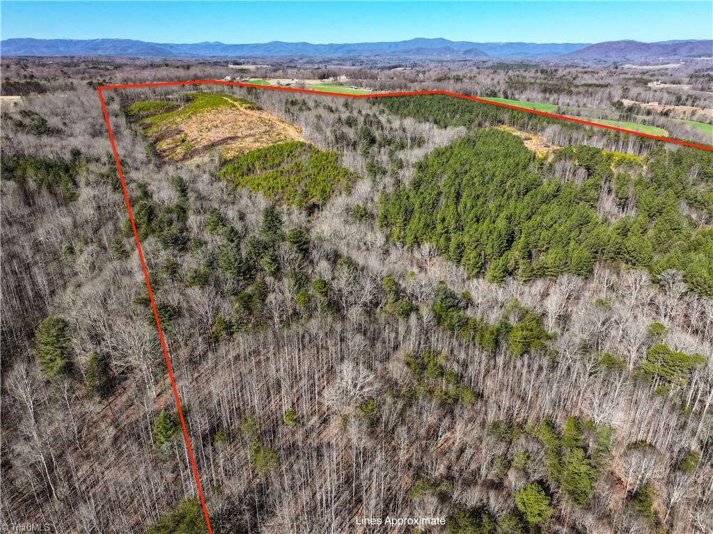 Tbd Tobe Hudson Road Dobson, NC 27017 - Photo 8 of 15 Gallery Image 8