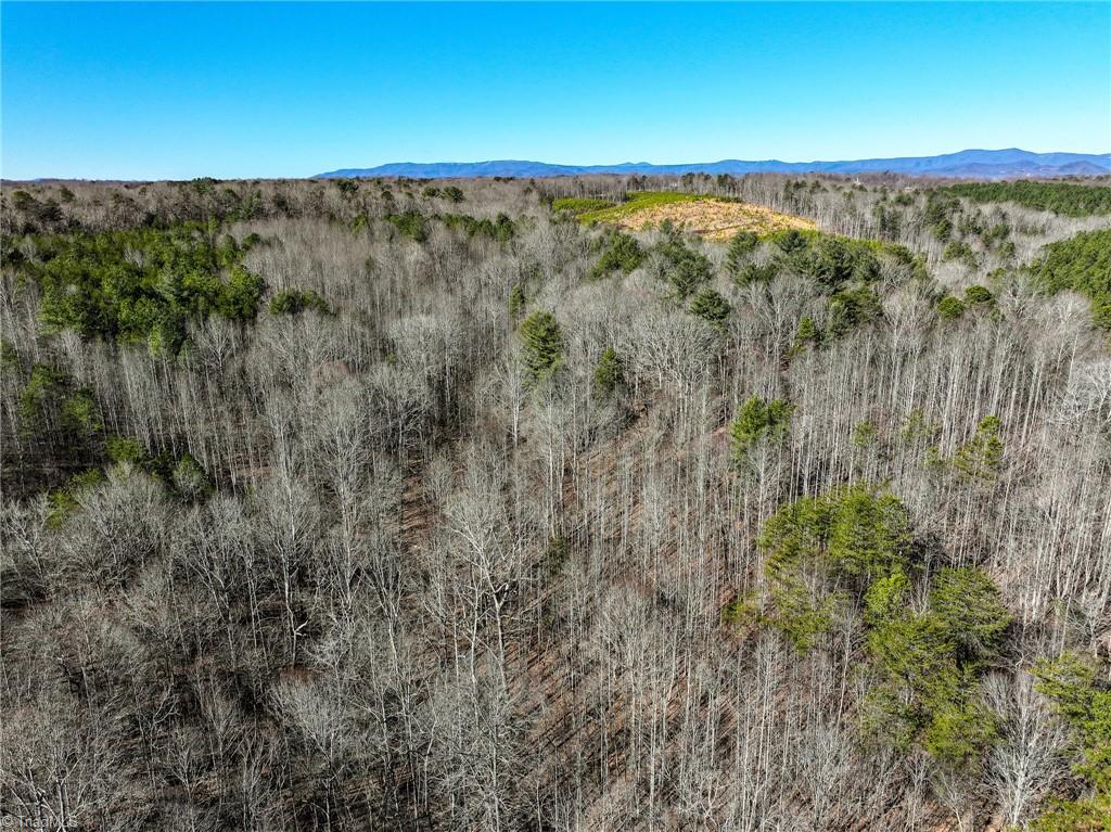 Tbd Tobe Hudson Road Dobson, NC 27017 - Photo 10 of 15 Gallery Image 10