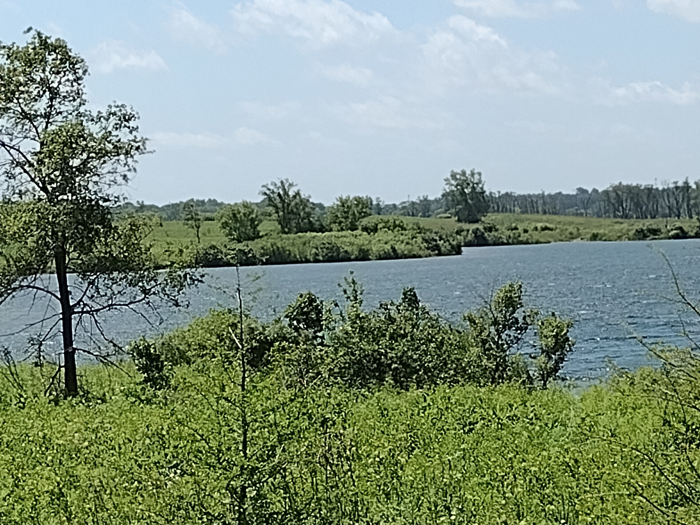 1803 Rizzi Lane Bartlett, IL 60103 - Photo 39 of 39 a view of a lake
