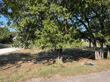 a view of a yard with plants and trees