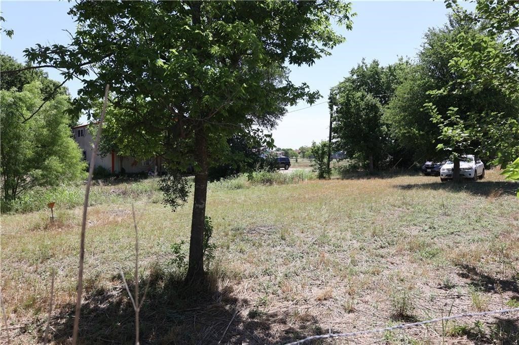 2500 Williamson Road Lockhart, TX 78644 - Photo 3 of 8 a street view covered with tall trees