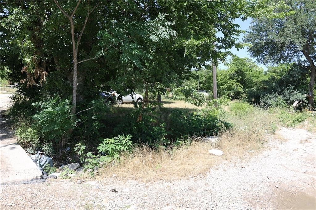 2500 Williamson Road Lockhart, TX 78644 - Photo 7 of 8 a view of backyard with green space