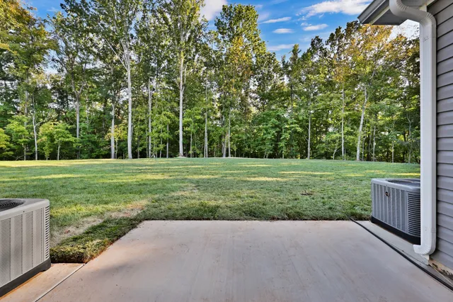 a view of a park with large trees