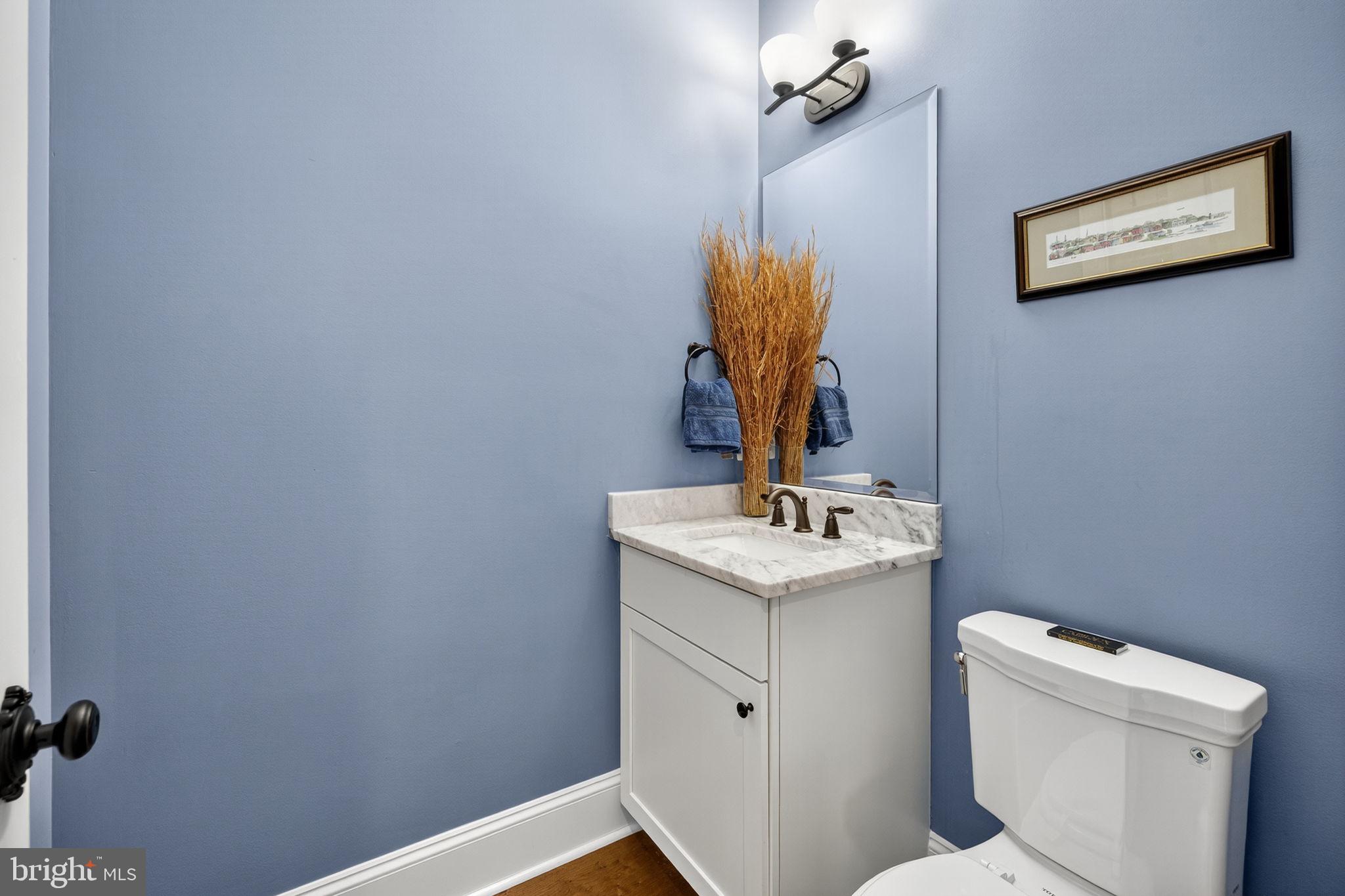 620 Tilthammer Mill Road Boyce, VA 22620 - Photo 18 of 57 a bathroom with a sink toilet and mirror