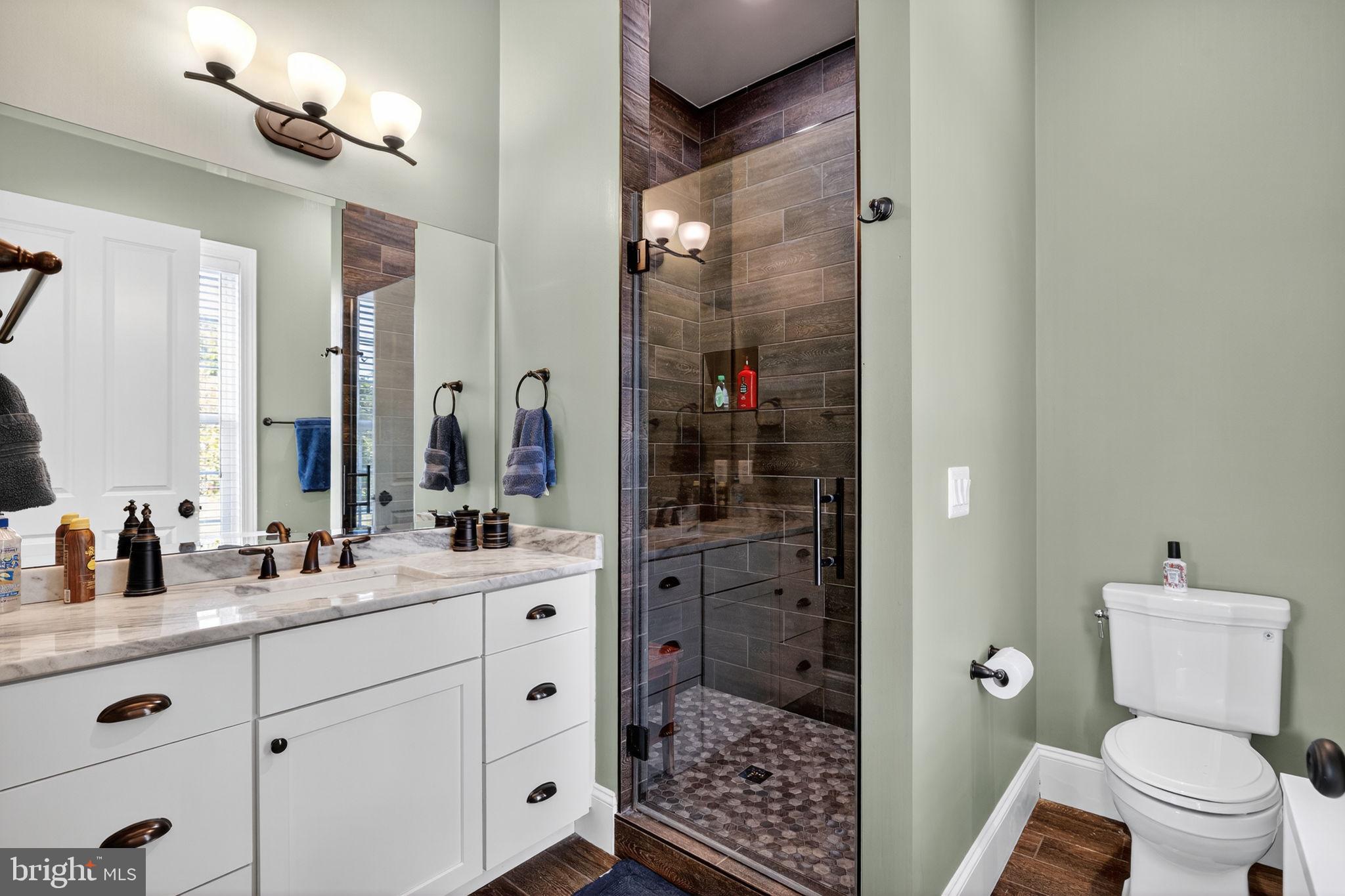 620 Tilthammer Mill Road Boyce, VA 22620 - Photo 23 of 57 a bathroom with a toilet a sink and a mirror