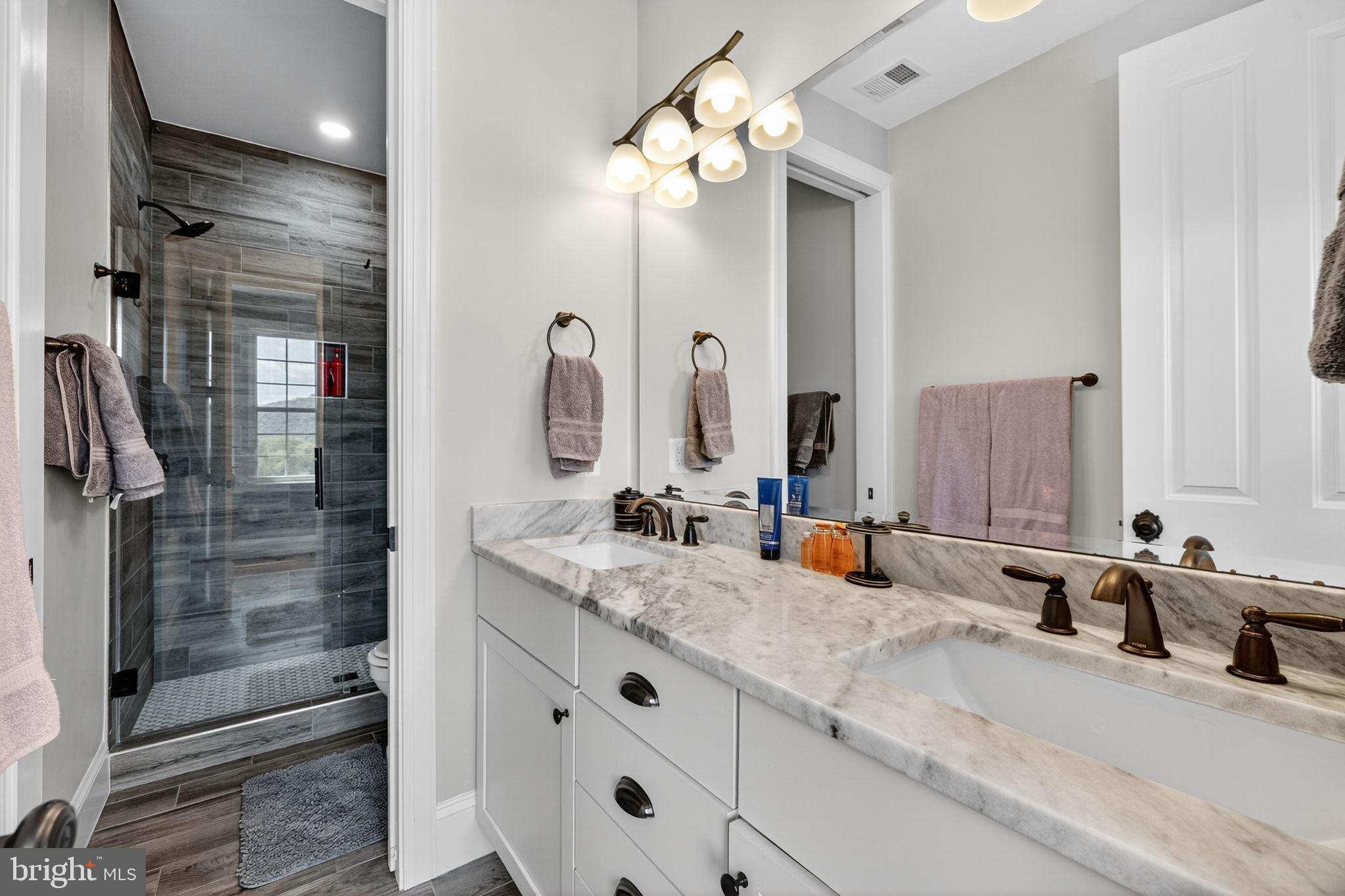620 Tilthammer Mill Road Boyce, VA 22620 - Photo 30 of 57 a bathroom with double vanity sinks a vanity a lamp and a shower