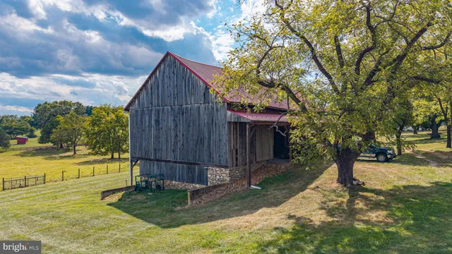 a view of a garden with a lake