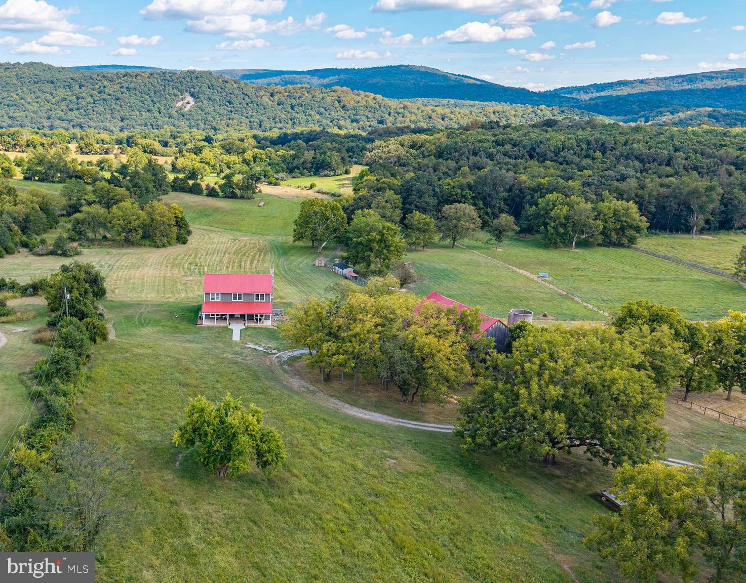 620 Tilthammer Mill Road Boyce, VA 22620 - Photo 56 of 57 a view of a garden with a lake