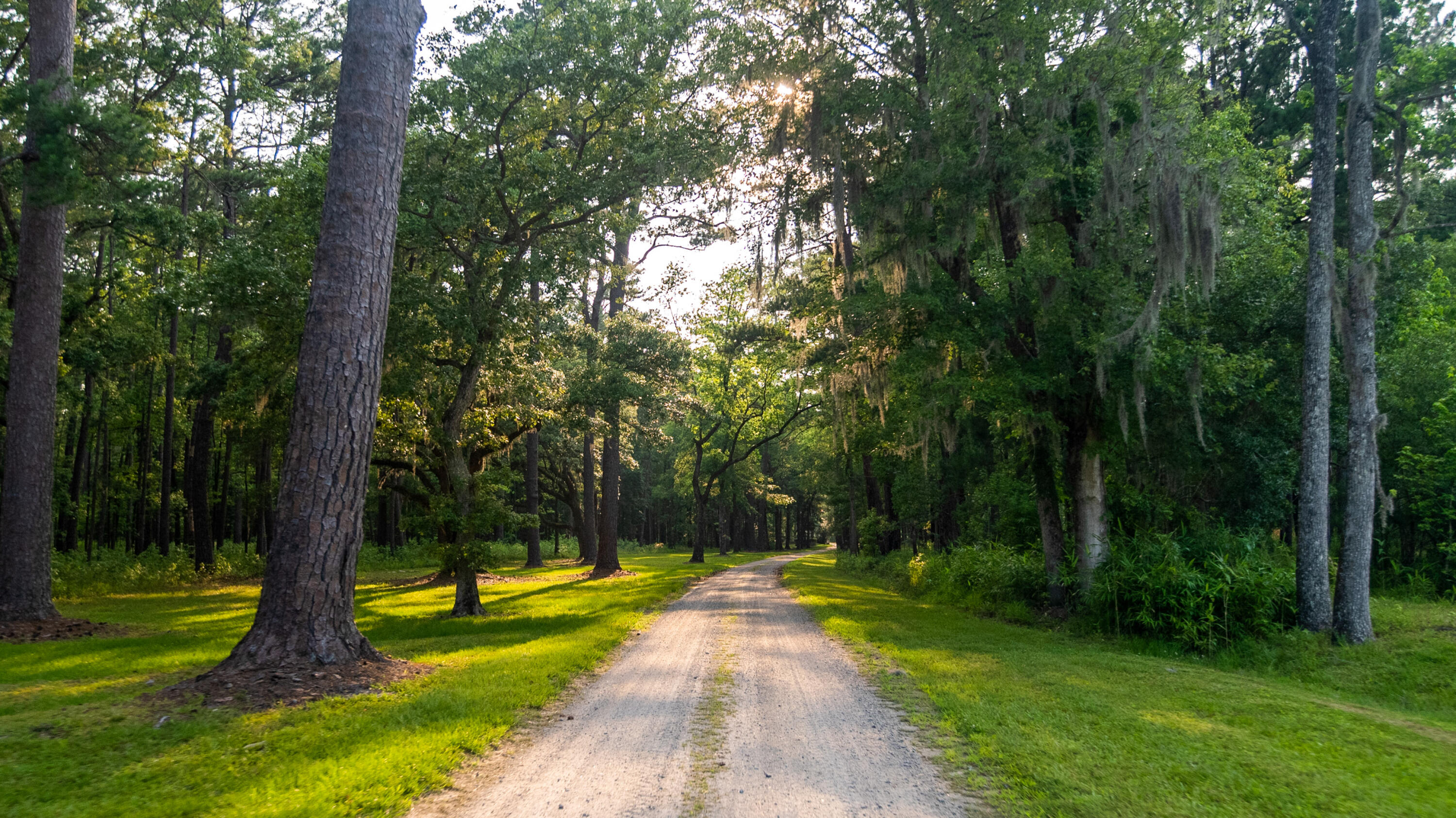 0 Gregorie Neck Road, Unit 4B6 Yemassee, SC 29945 - Photo 4 of 4 GregorieNeck-44-2
