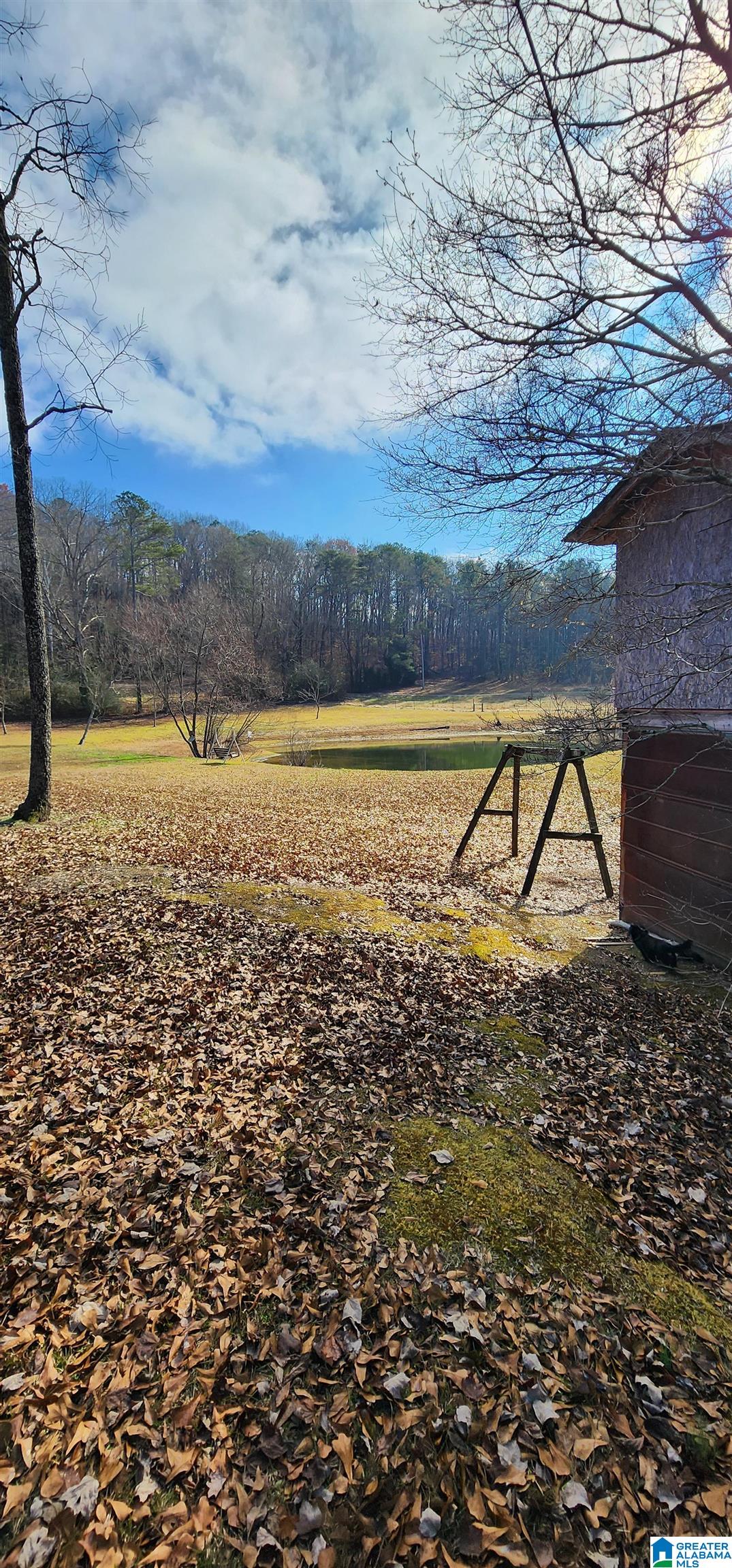 352 Kudzu Road Oneonta, AL 35121 - Photo 44 of 57