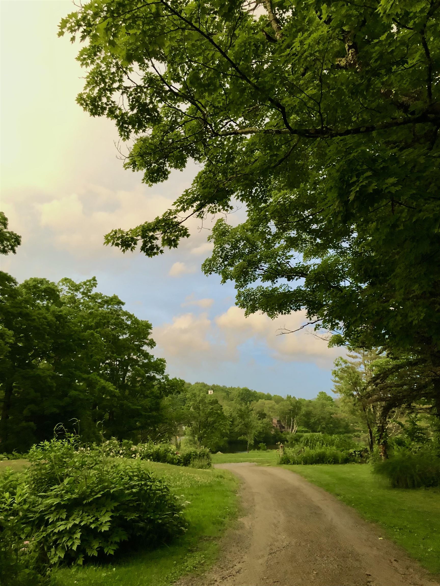 2379 East Washington Road Washington, NH 03280 - Photo 6 of 13