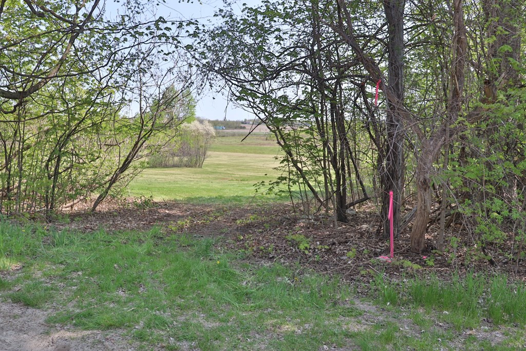 0 Esker Road West Chazy, NY 12992 - Photo 6 of 7 Gallery Image 6