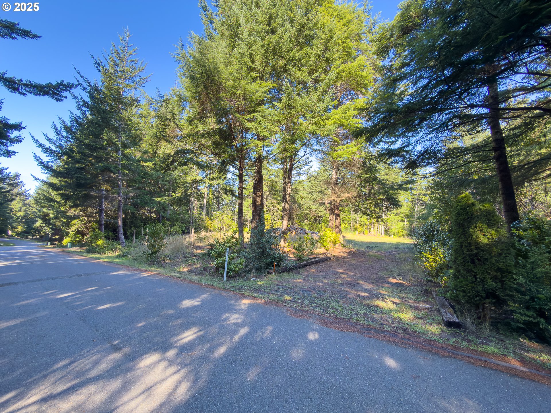 88629 Weiss Estate Road Bandon, OR 97411 - Photo 11 of 25 a view of a yard with a tree