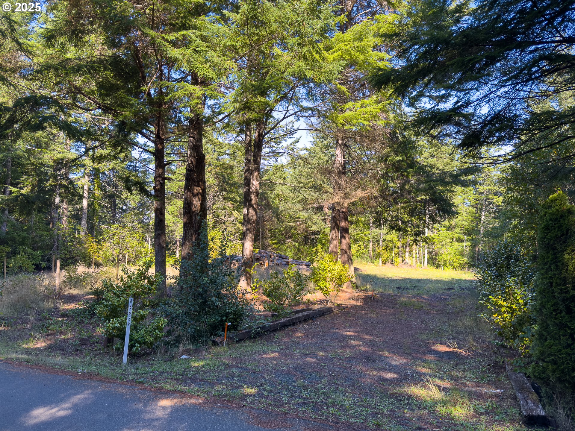 88629 Weiss Estate Road Bandon, OR 97411 - Photo 12 of 25 a view of an outdoor space and a yard