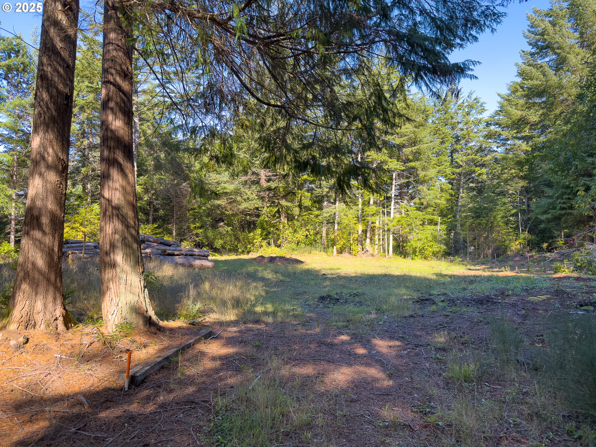 88629 Weiss Estate Road Bandon, OR 97411 - Photo 13 of 25 a view of backyard with green space