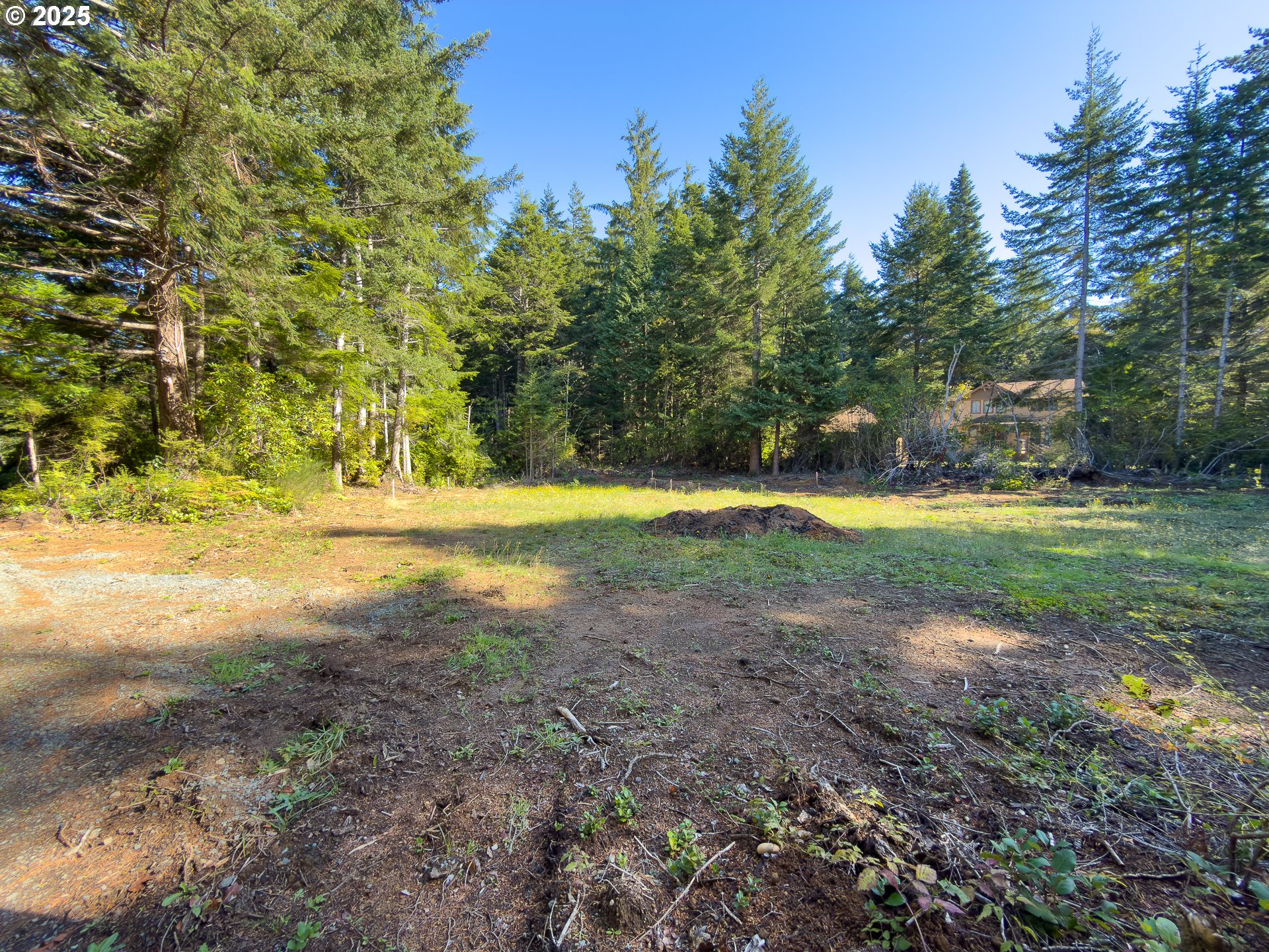 88629 Weiss Estate Road Bandon, OR 97411 - Photo 14 of 25 a view of outdoor space with trees