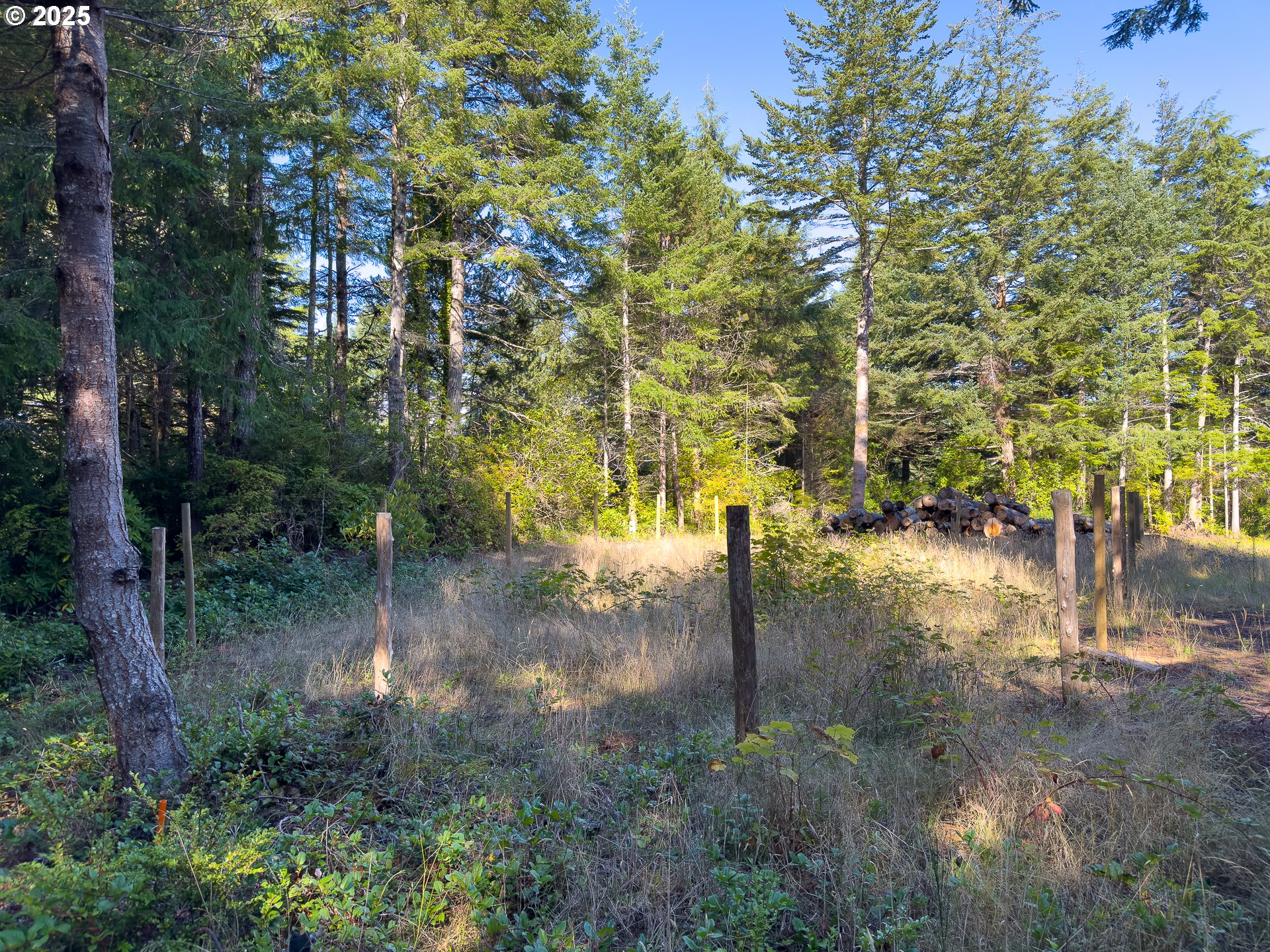 88629 Weiss Estate Road Bandon, OR 97411 - Photo 15 of 25 a view of water with large trees