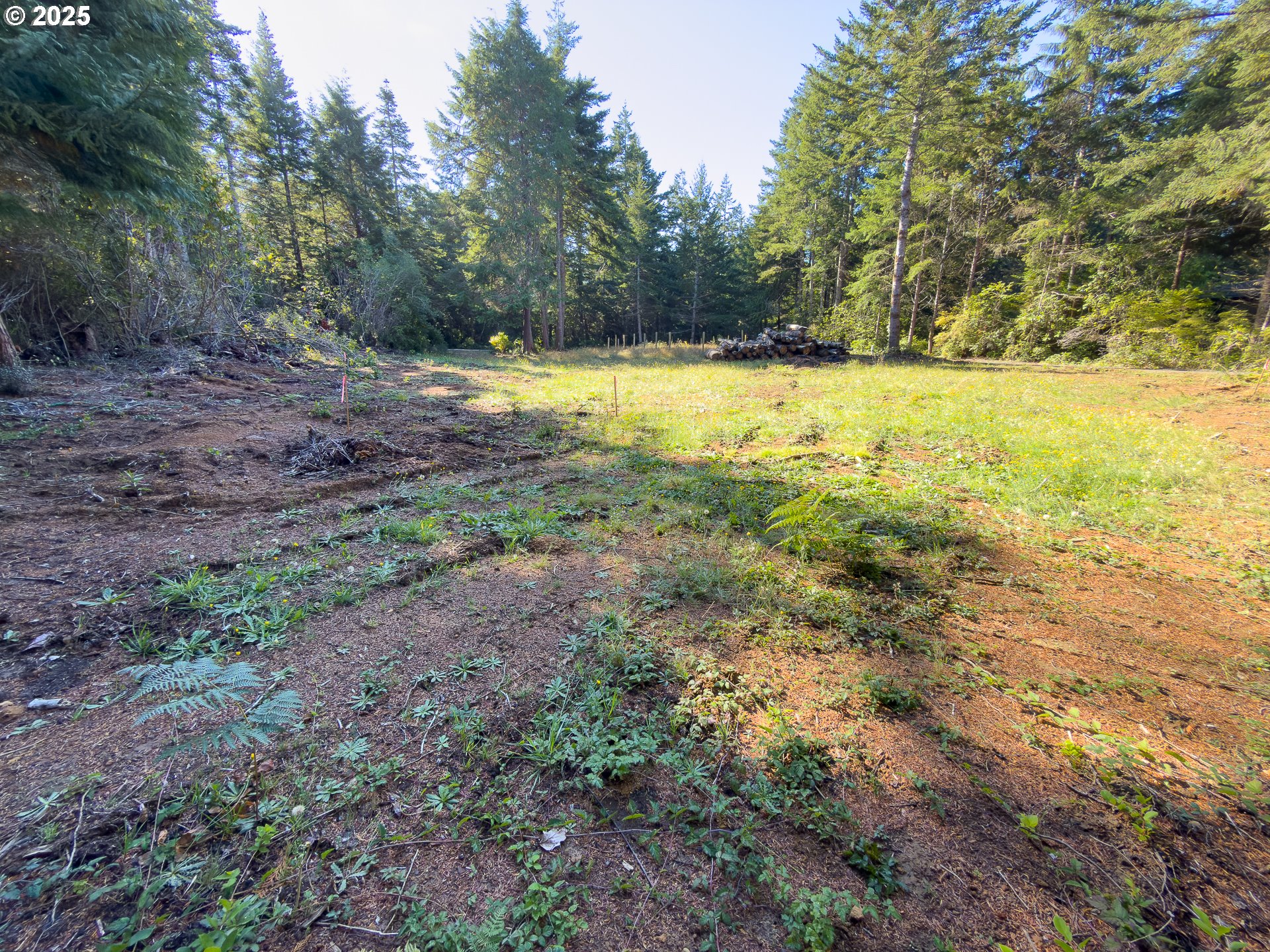 88629 Weiss Estate Road Bandon, OR 97411 - Photo 16 of 25 a view of a yard with a tree