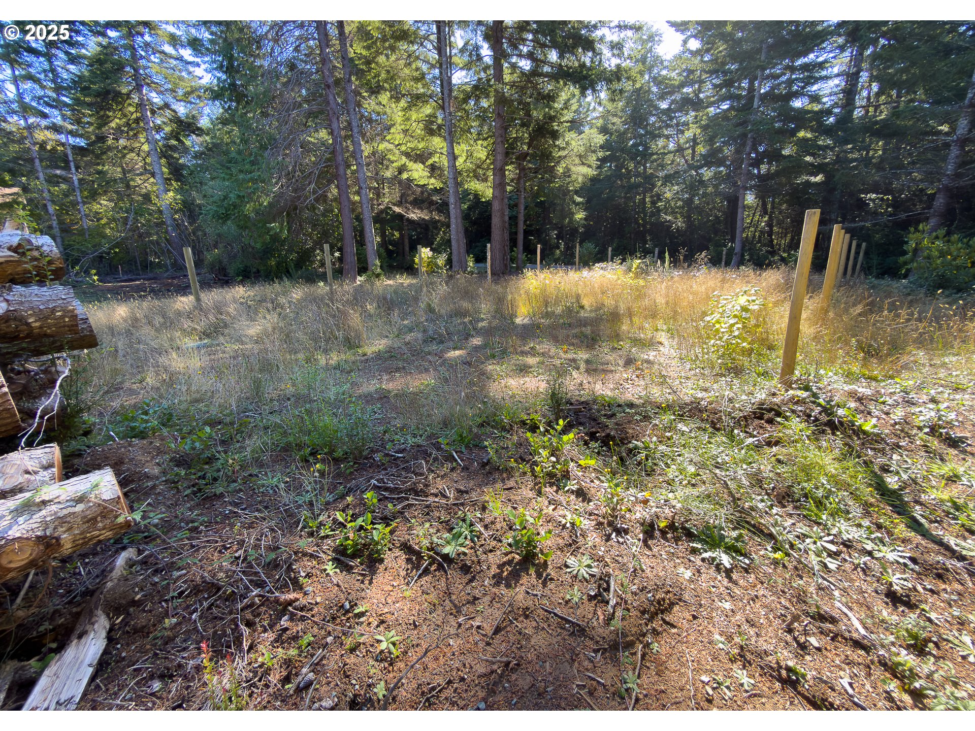 88629 Weiss Estate Road Bandon, OR 97411 - Photo 17 of 25 a view of a yard with a tree