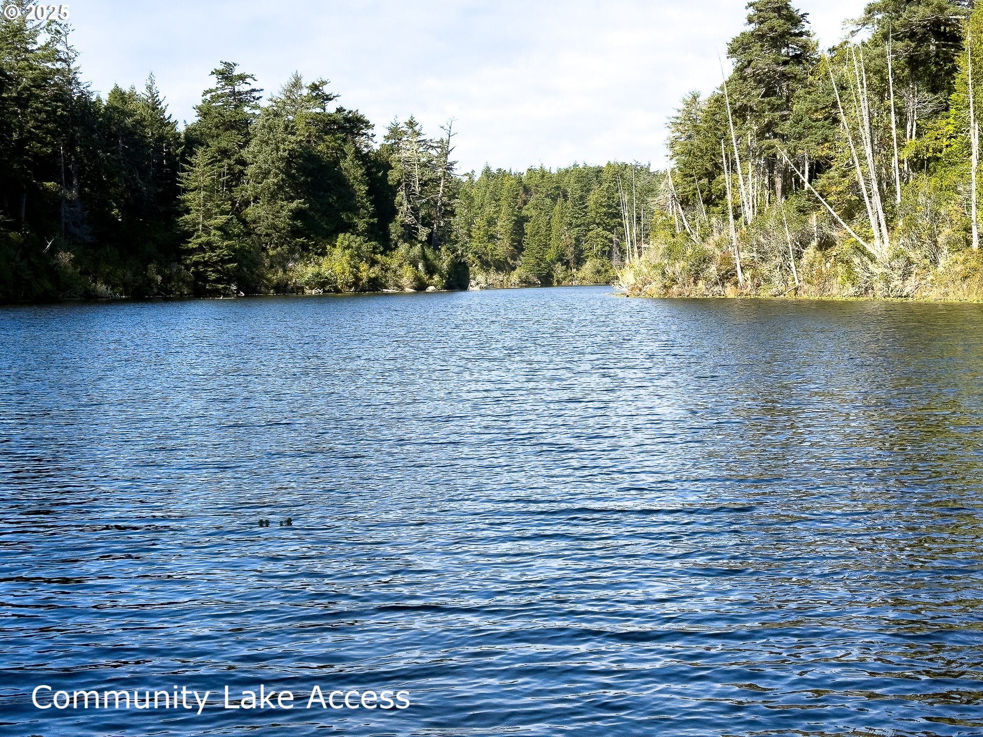 88629 Weiss Estate Road Bandon, OR 97411 - Photo 23 of 25