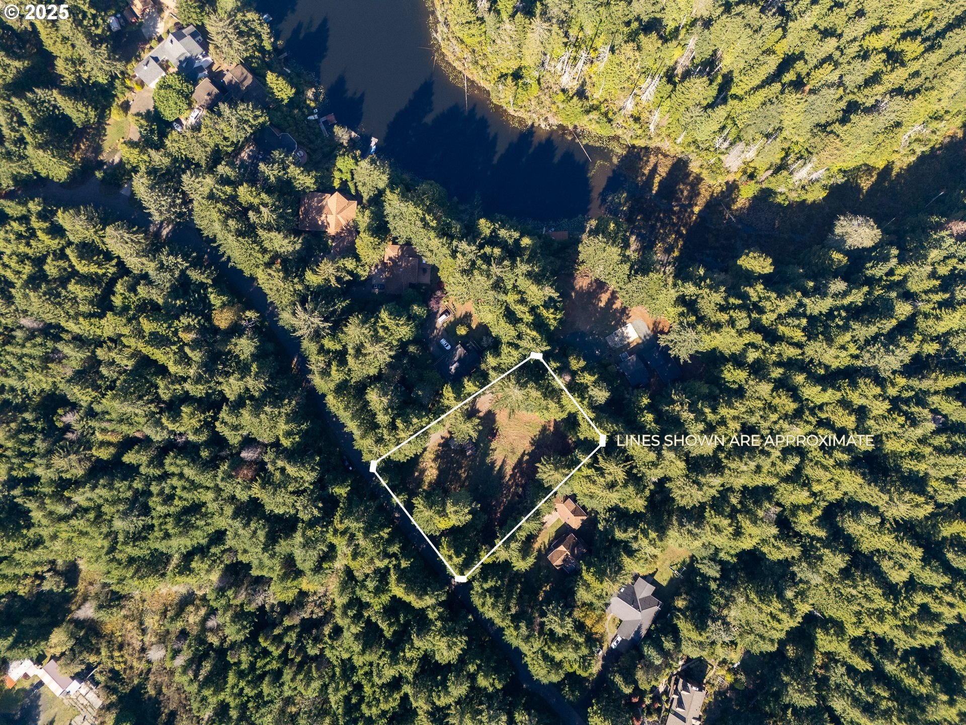 88629 Weiss Estate Road Bandon, OR 97411 - Photo 3 of 25 a view of flowers