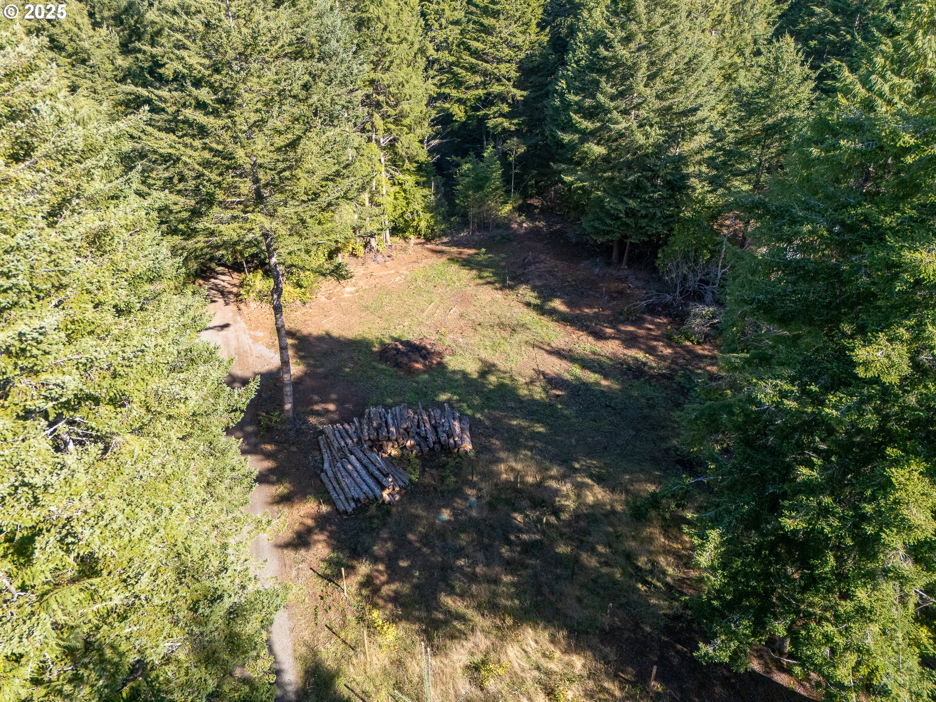 88629 Weiss Estate Road Bandon, OR 97411 - Photo 8 of 25 a view of a forest with trees
