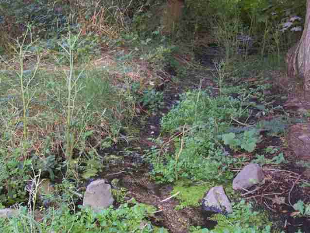 3203 Bulldog Creek Road Valley, WA 99181 - Photo 2 of 9 Gallery Image 2