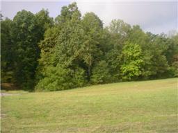 3667 Ridgeville Road Tullahoma, TN 37388 - Photo 8 of 8 Gallery Image 8