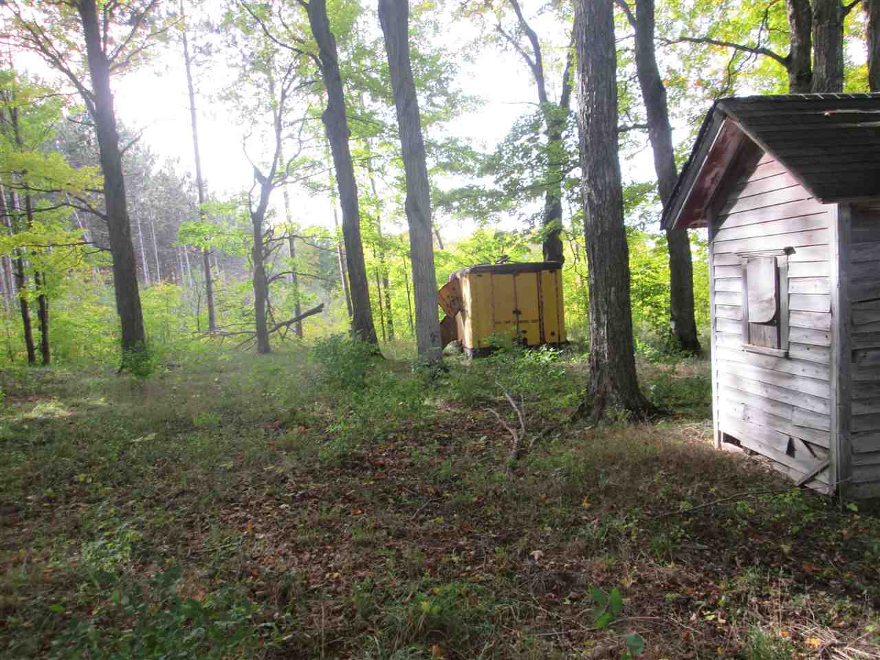 86 Golden Road Southeast Kalkaska, MI 49646 - Photo 11 of 24 1807687-10.JPG