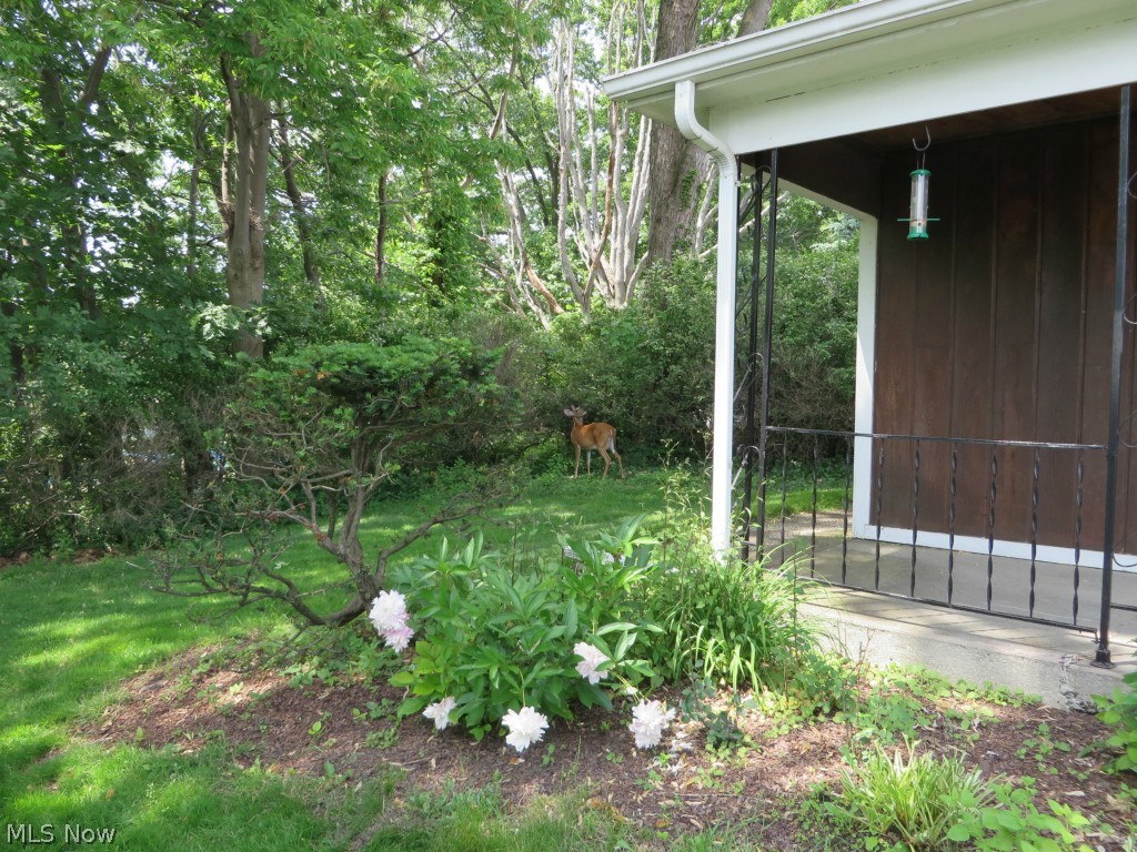 12012 Granger Road Cleveland, OH 44125 - Photo 24 of 25 Gallery Image 24