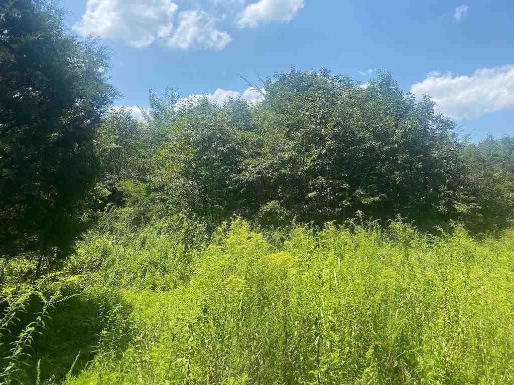 Lot 11 Hamilton-lee Road Lewisburg, KY 42256 - Photo 29 of 44 Gallery Image 29