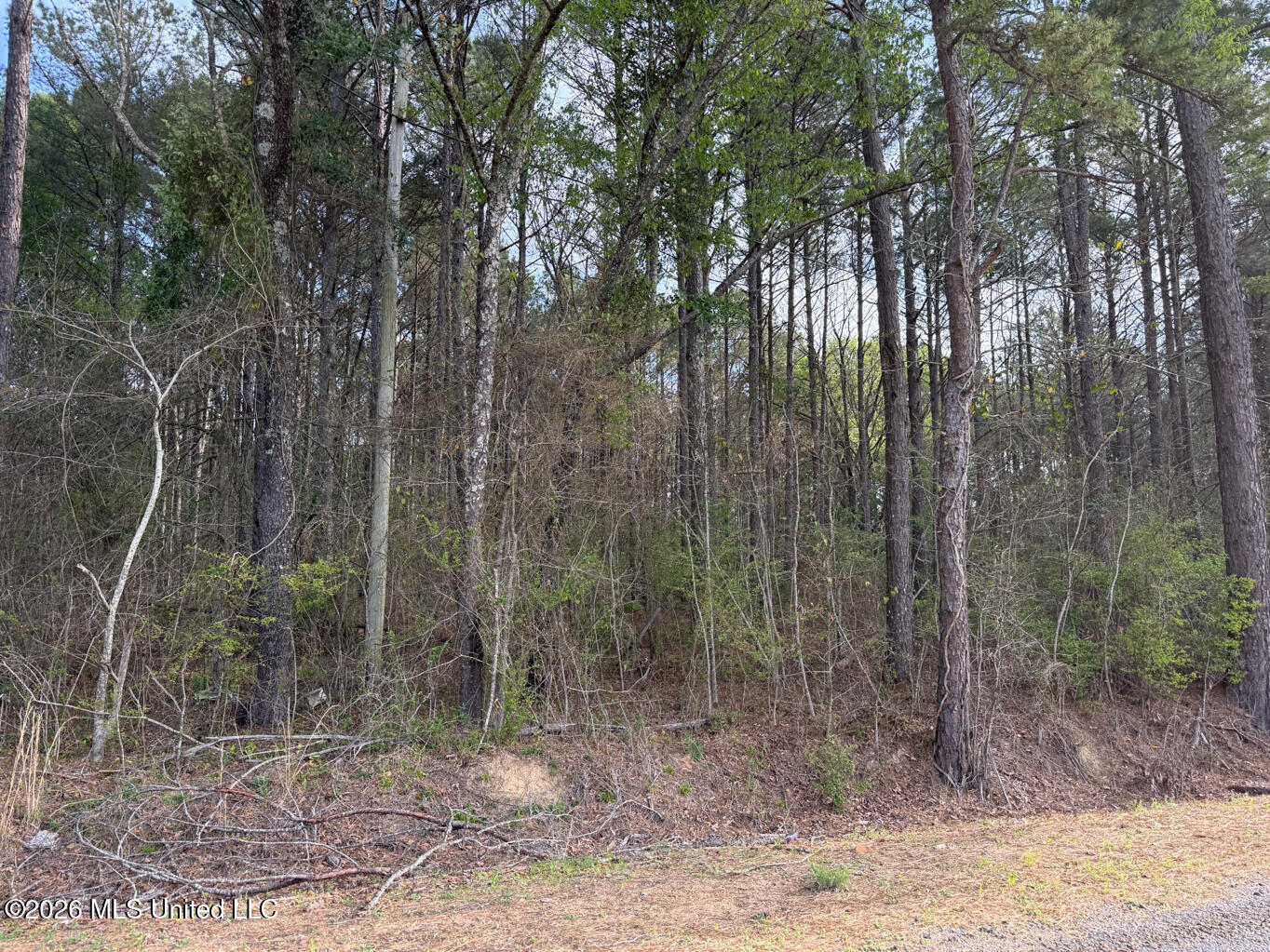 288 Galilee Road Carthage, MS 39051 - Photo 2 of 13 Leake 27 EDITS-2