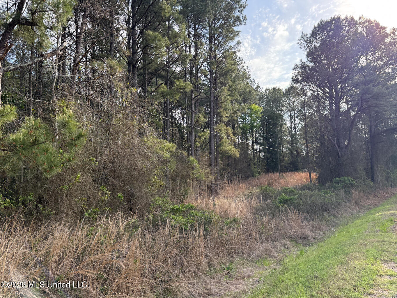 288 Galilee Road Carthage, MS 39051 - Photo 9 of 13 Leake 27 EDITS-9