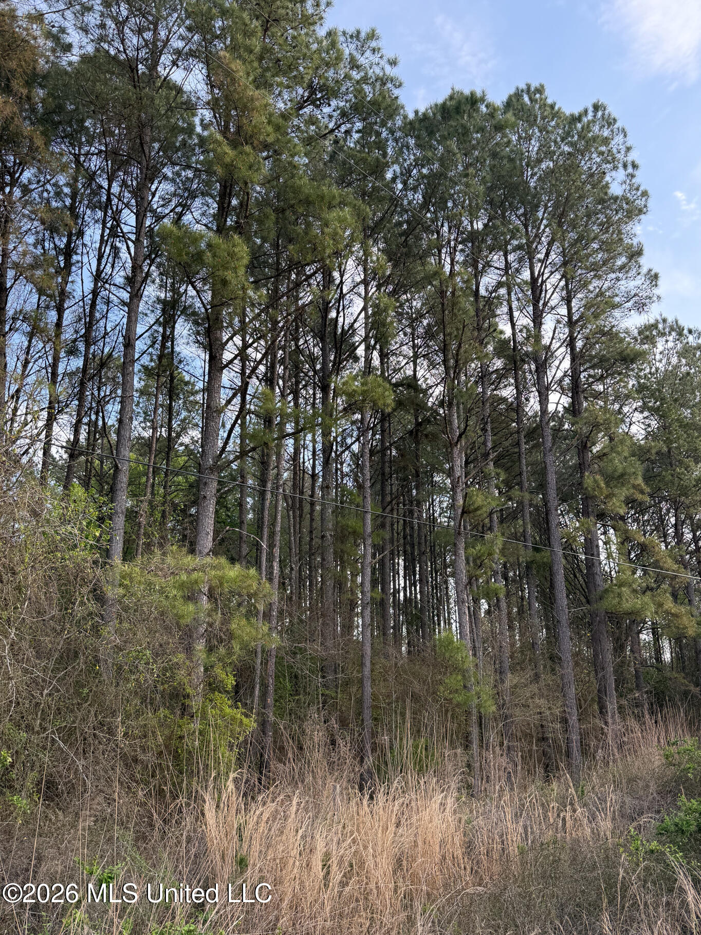 288 Galilee Road Carthage, MS 39051 - Photo 10 of 13 Leake 27 EDITS-10