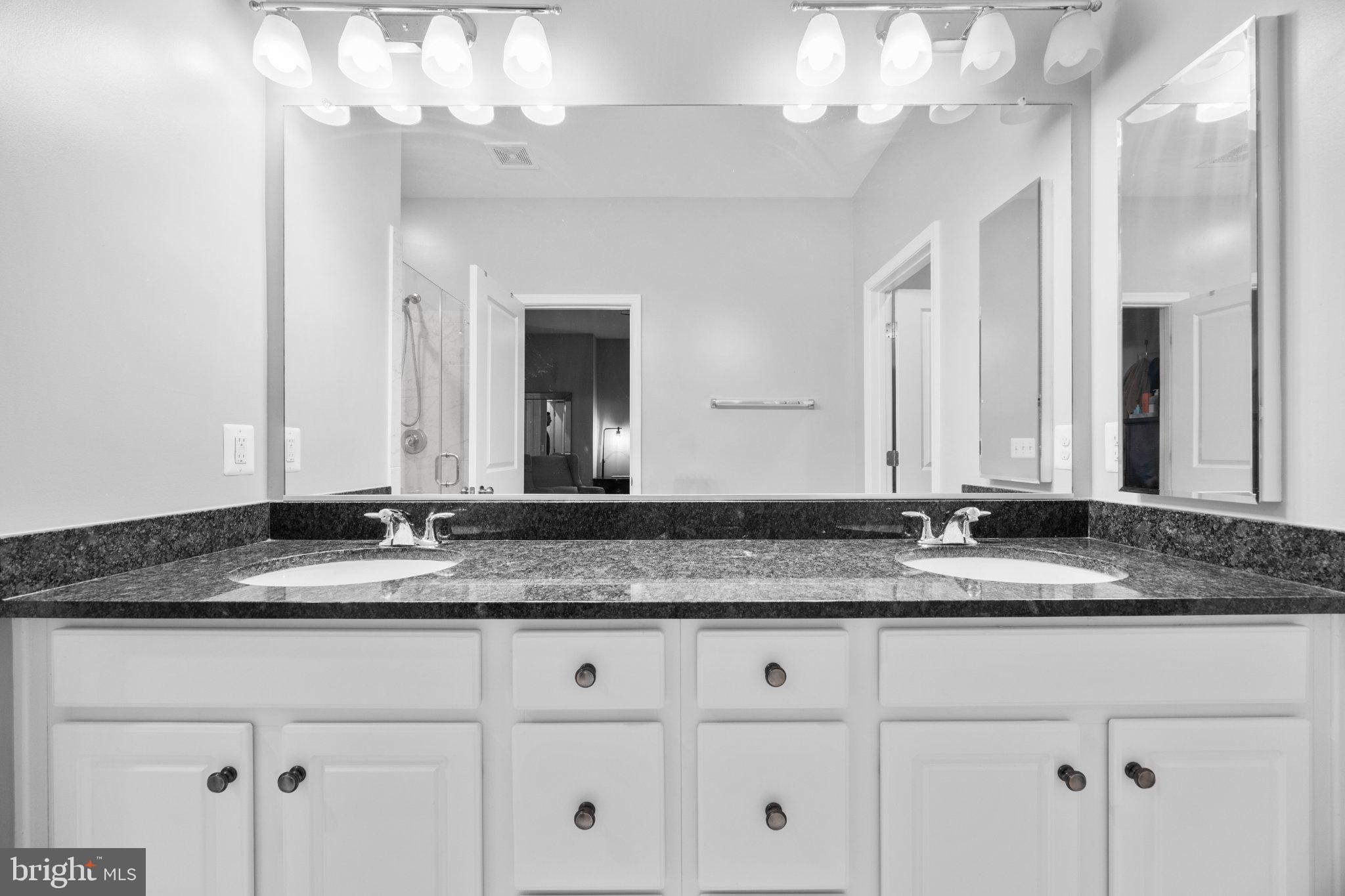 9164 Power House Road Lorton, VA 22079 - Photo 42 of 59 Gallery Image 42