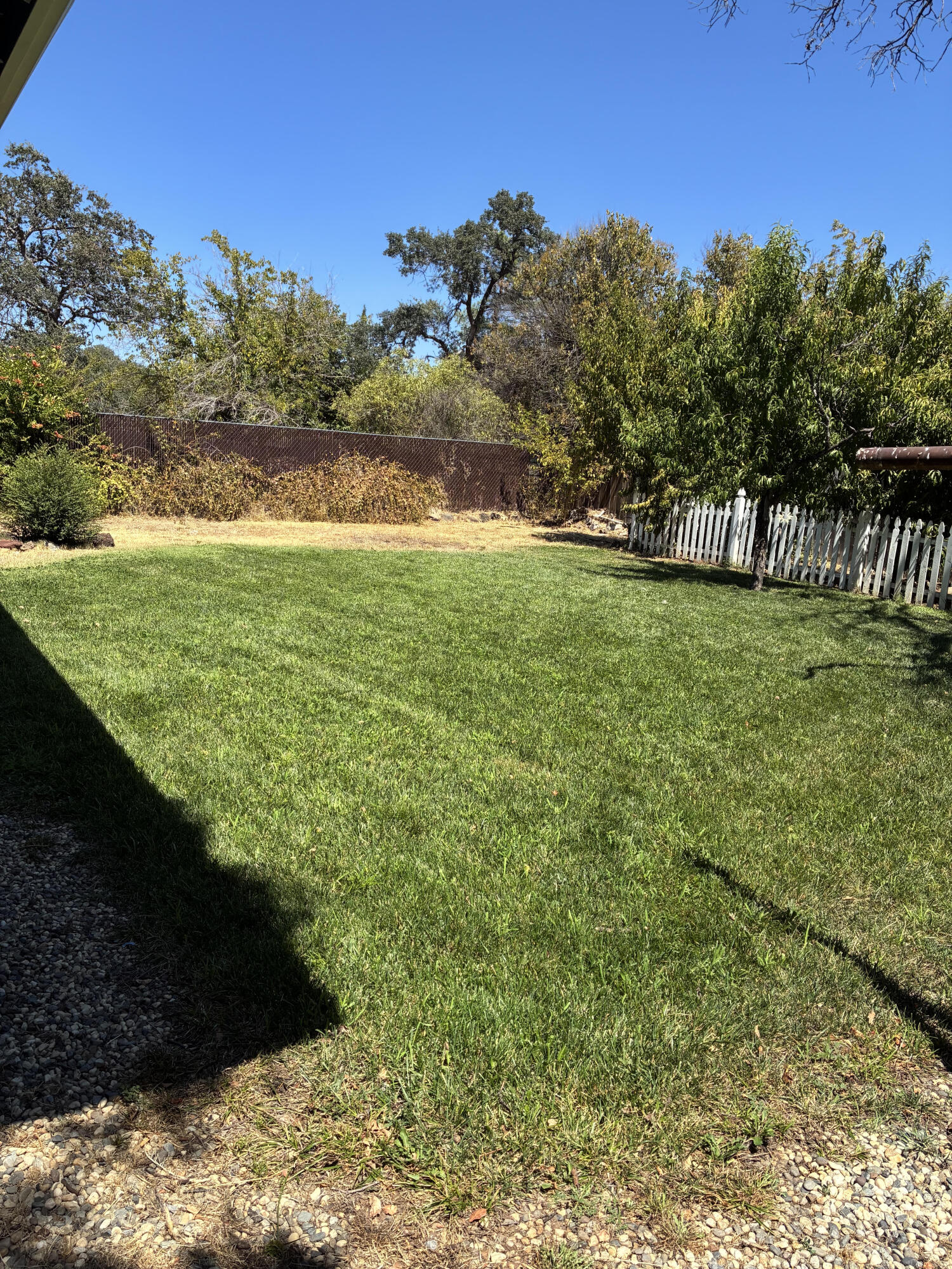 2663 Irwin Road Redding, CA 96002 - Photo 4 of 13 Back Yard