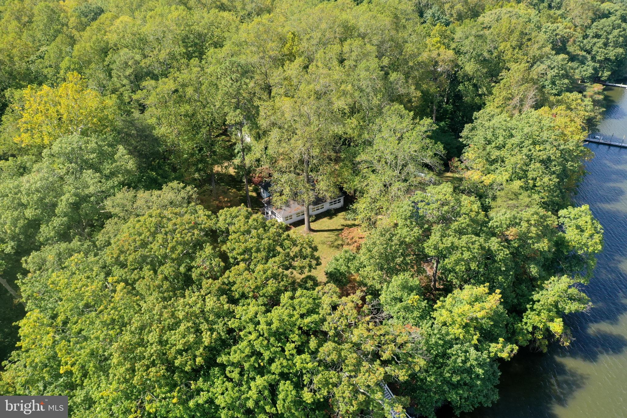 2237 Garrity Road St. Leonard, MD 20685 - Photo 51 of 63 Mature trees add tons of privacy