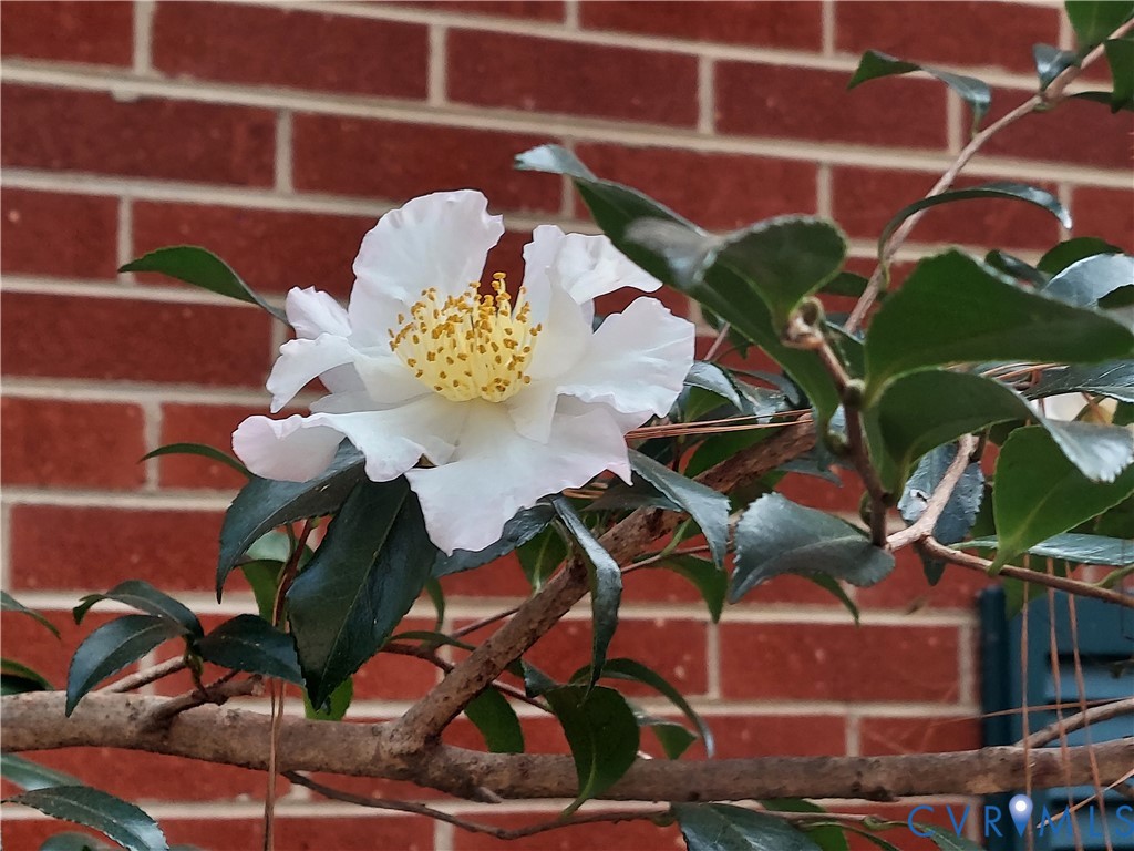 3369 Warner Road Richmond, VA 23225 - Photo 40 of 46 a vase of flowers sitting on a floor