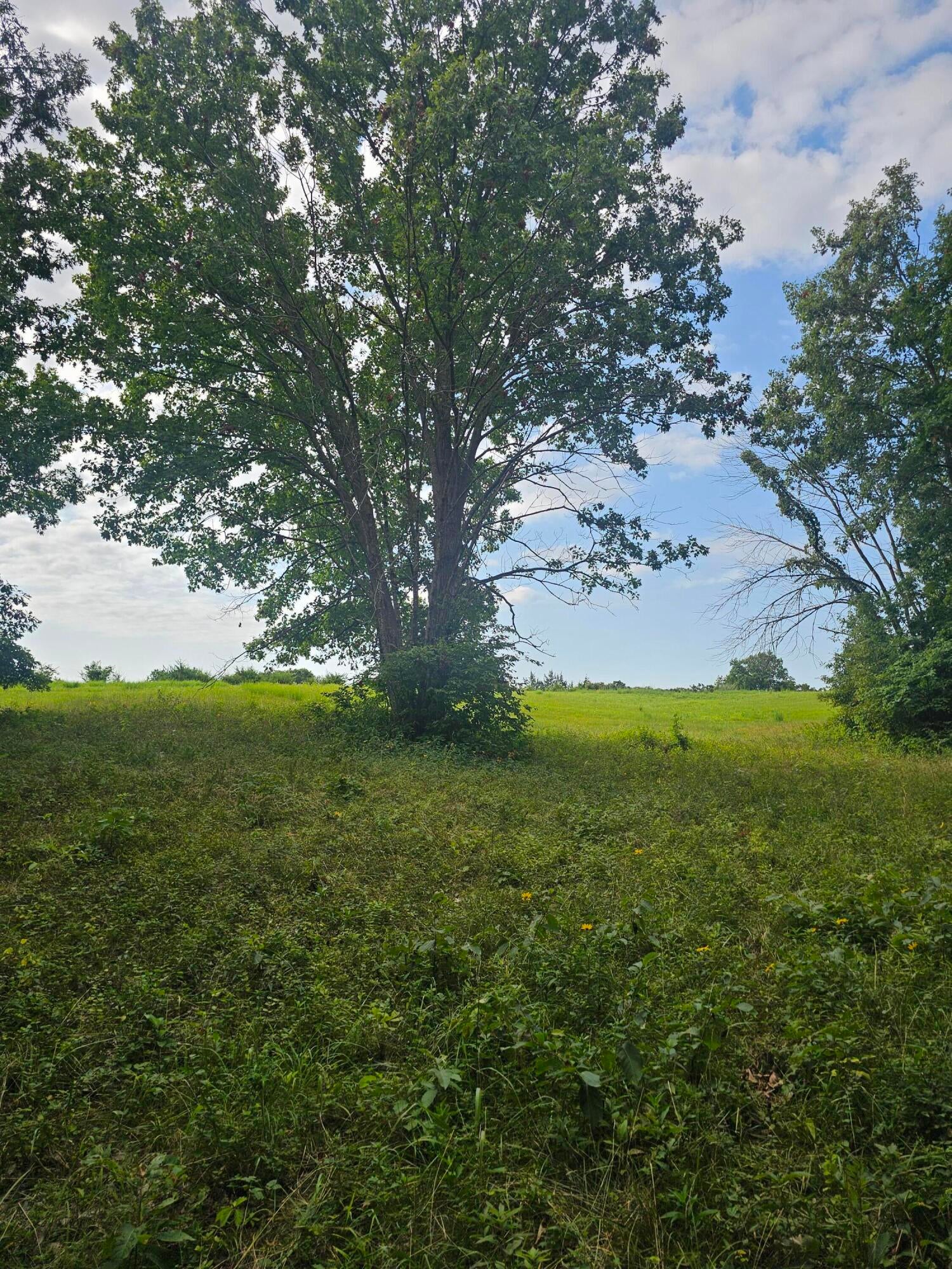112 County Road East Fayette, MO 65248 - Photo 3 of 3