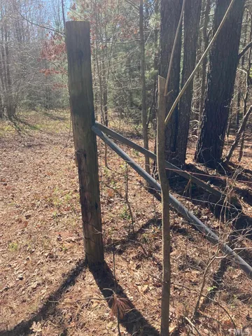 a view of a yard with trees