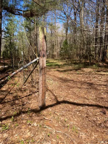 a view of yard with green space