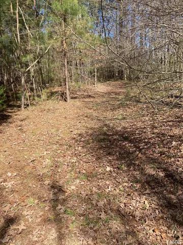 a view of a yard with wooden fence